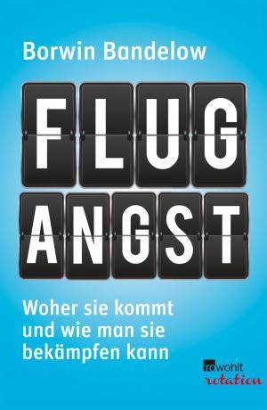 Book cover of Flugangst