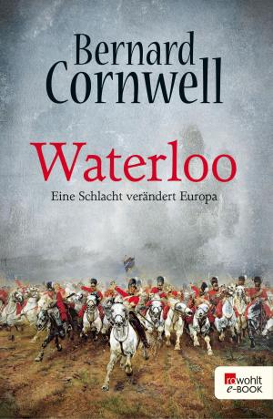 Cover of the book Waterloo by Lucy Fricke