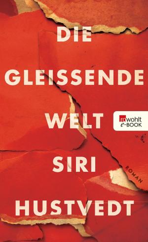 Cover of the book Die gleißende Welt by Jonathan Franzen