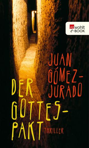 Cover of the book Der Gottes-Pakt by Jochen Buchsteiner