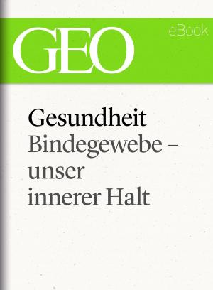 Cover of Gesundheit: Bindegewebe - unser innerer Halt (GEO eBook Single)