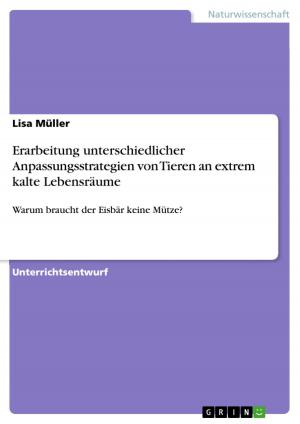 Cover of the book Erarbeitung unterschiedlicher Anpassungsstrategien von Tieren an extrem kalte Lebensräume by Nele Grubelnik