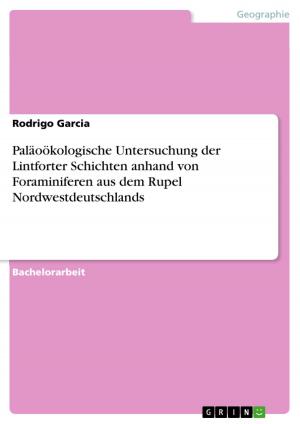 Book cover of Paläoökologische Untersuchung der Lintforter Schichten anhand von Foraminiferen aus dem Rupel Nordwestdeutschlands