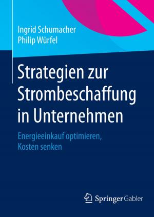Cover of the book Strategien zur Strombeschaffung in Unternehmen by Rolf Dobischat, Marcel Fischell, Anna Rosendahl
