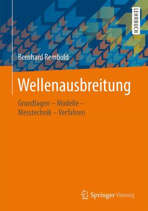 Cover of the book Wellenausbreitung by Andreas Meier, Edy Portmann