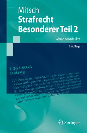 Cover of the book Strafrecht, Besonderer Teil 2 by 