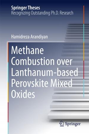 Cover of the book Methane Combustion over Lanthanum-based Perovskite Mixed Oxides by Daniel Vischer, Heinz Patt, Andreas Huber, Peter Gonsowski