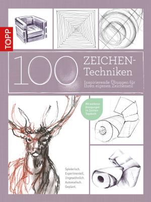 Cover of the book 100 Zeichentechniken by Anne Iburg, Gesine Harth
