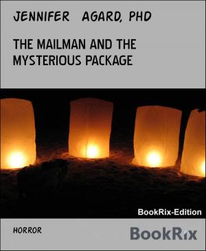 Cover of the book THE MAILMAN AND THE MYSTERIOUS PACKAGE by Oliver Schmid