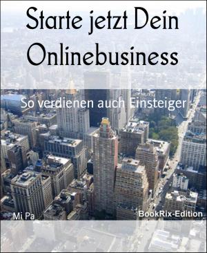 Cover of the book Starte jetzt Dein Onlinebusiness by Friedrich Gerstäcker