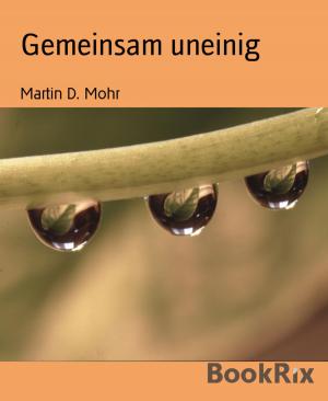 Cover of the book Gemeinsam uneinig by James Gerard