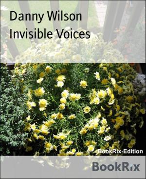 Book cover of Invisible Voices
