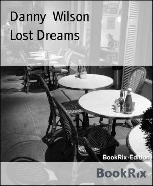 Cover of the book Lost Dreams by Joseph P Hradisky Jr