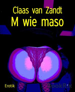 Cover of the book M wie maso by Mattis Lundqvist