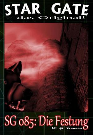 Book cover of STAR GATE 085: Die Festung