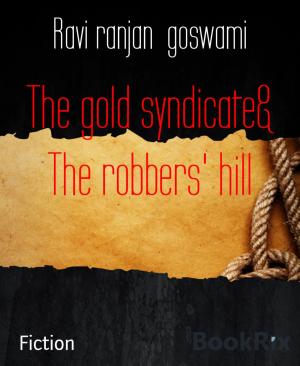 Book cover of The gold syndicate& The robbers' hill