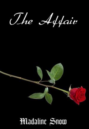 Cover of the book The Affair by Jan Gardemann