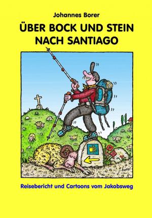 Cover of the book ÜBER BOCK UND STEIN NACH SANTIAGO by Dr. Michael Roscher