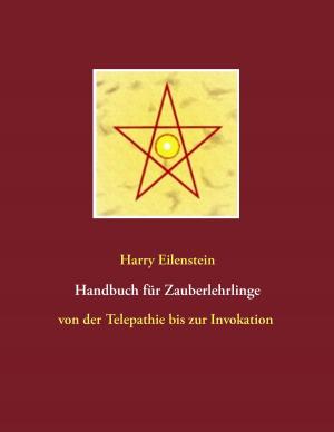 Book cover of Handbuch für Zauberlehrlinge