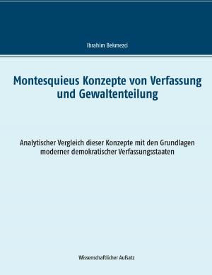 Cover of the book Montesquieus Konzepte von Verfassung und Gewaltenteilung by Michael Ttappous