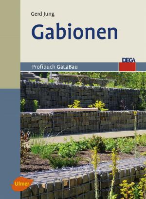 Cover of the book Gabionen by Celina del Amo, Renate Jones-Baade, Karina Mahnke