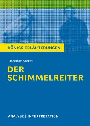 Cover of the book Der Schimmelreiter von Theodor Storm. by Jean-Paul Sartre, Martin Lowsky