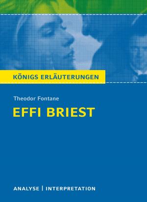 Cover of the book Effi Briest von Theodor Fontane. by Urs Widmer, Maria-Felicitas Herforth