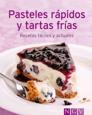 Cover of the book Pasteles rápidos y tartas frías by Friedemann Bedürftig