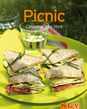 Cover of the book Picnic by Christa Traczinski, Robert Polster