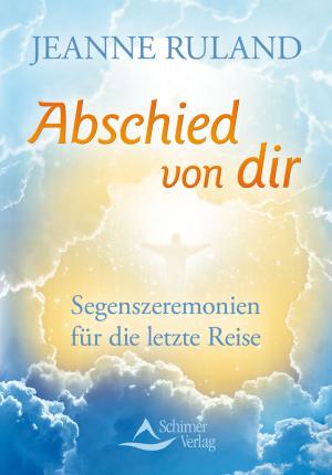 Cover of the book Abschied von dir by Tina Stümpfig-Rüdisser