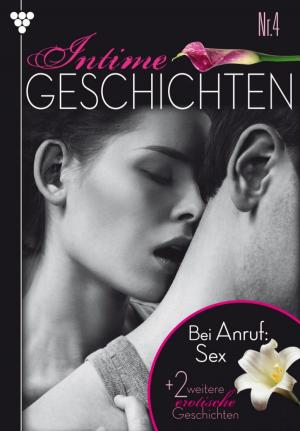 Book cover of Intime Geschichten 4 – Erotikroman