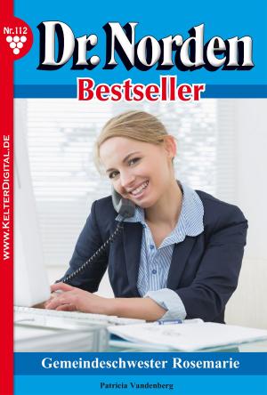 bigCover of the book Dr. Norden Bestseller 112 – Arztroman by 