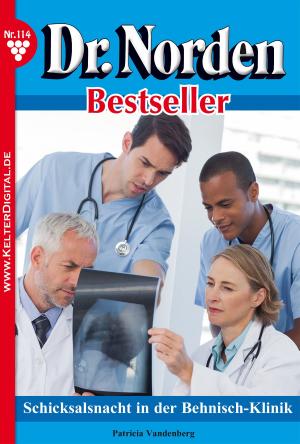 Book cover of Dr. Norden Bestseller 114 – Arztroman