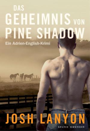 Cover of the book Das Geheimnis von Pine Shadow by Christopher Coe