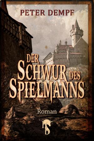 Book cover of Der Schwur des Spielmanns