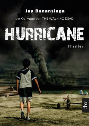 Cover of the book Hurricane by Rich DiSilvio