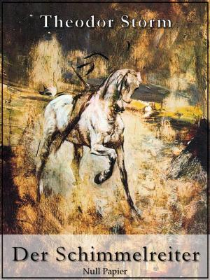 Cover of the book Der Schimmelreiter by Jules Verne, Jürgen Schulze