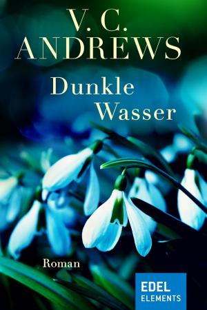 bigCover of the book Dunkle Wasser by 