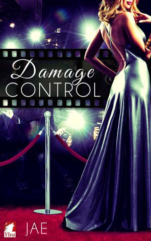 Cover of the book Damage Control by Lee Winter
