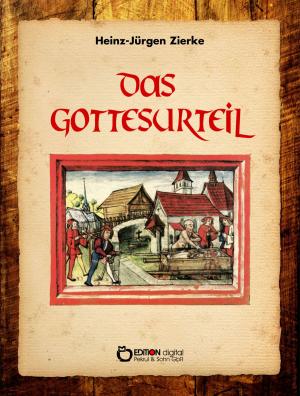 Cover of the book Das Gottesurteil by Helga Schubert, Erika Richter