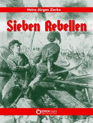 Cover of the book Sieben Rebellen by Jan Flieger