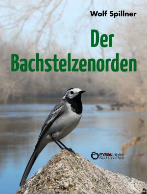 Book cover of Der Bachstelzenorden