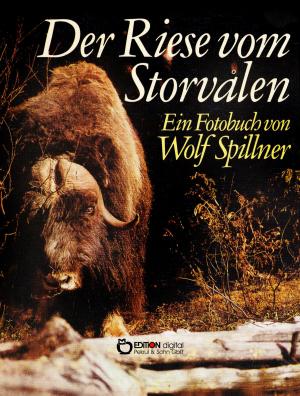 Cover of the book Der Riese vom Storvalen by Katharina Schubert