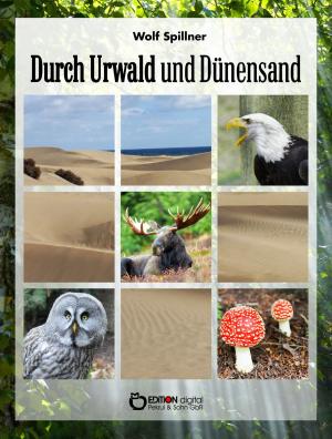 Book cover of Durch Urwald und Dünensand