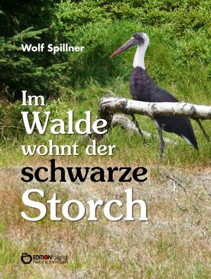 Book cover of Im Walde wohnt der schwarze Storch