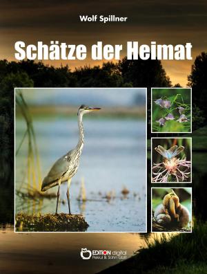 Book cover of Schätze der Heimat