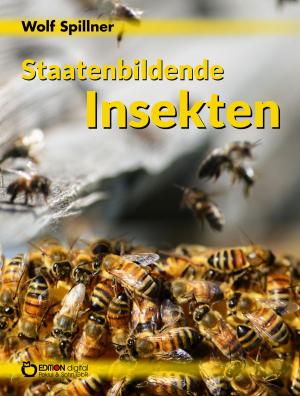 Book cover of Staatenbildende Insekten