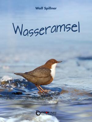 Cover of the book Wasseramsel by Aljonna Möckel, Klaus Möckel