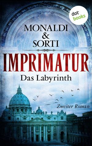 Cover of the book IMPRIMATUR - Roman 2: Das Labyrinth by Heidi Rehn