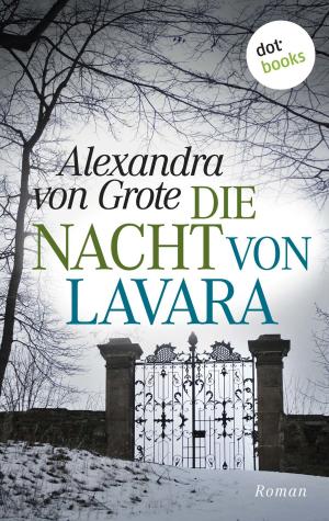 Cover of the book Die Nacht von Lavara by Caroline Bayer